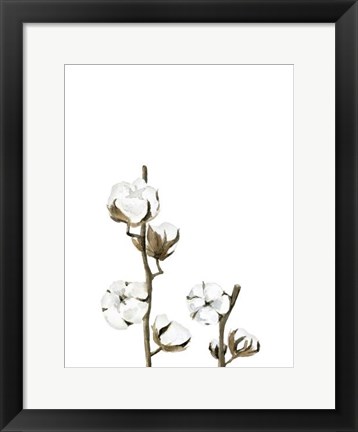 Framed Cotton Print