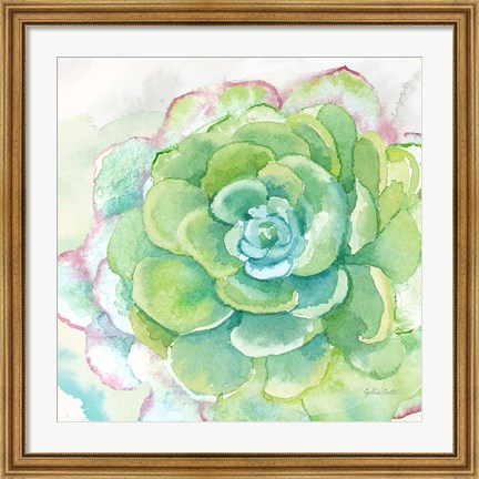 Framed Sweet Succulents IV Print