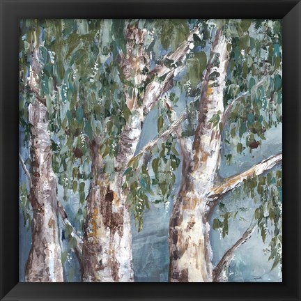 Framed Eucalyptus Trees Print