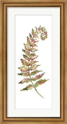 Framed Botanical Fern Single II Print