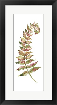 Framed Botanical Fern Single II Print