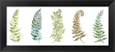 Framed Botanical Ferns Panel Print