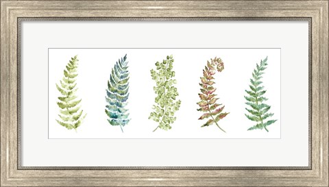 Framed Botanical Ferns Panel Print