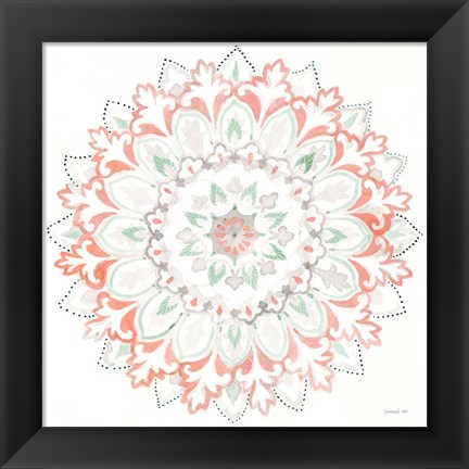 Framed Mandala Delight II Print