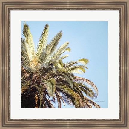 Framed Endless Summer VI Print