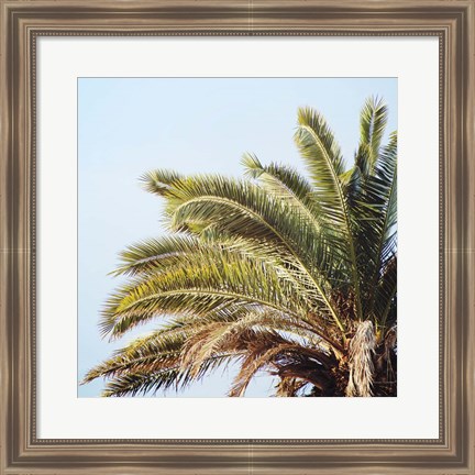 Framed Endless Summer I Crop Print