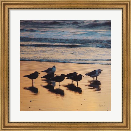 Framed Kalaloch Birds I Print