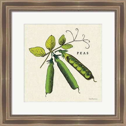 Framed Linen Vegetable IV v2 Print