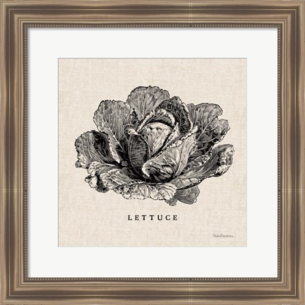 Framed Burlap Vegetable BW Sketch Lettuce Print