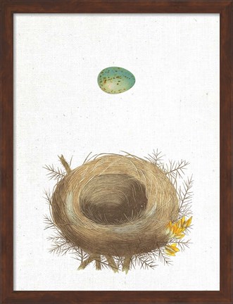 Framed Spring Nest I Print