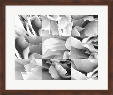 Framed Dreamy Peony Collage Print