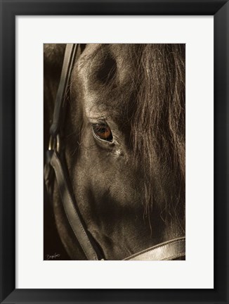 Framed Their Eyes are the Window to their Souls Print