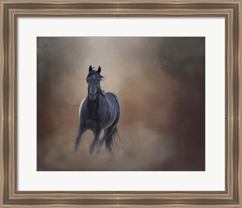 Framed Knighthawk - S Steens Wild Stallion Print
