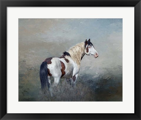 Framed Shaman - S Steens Wild Stallion Print