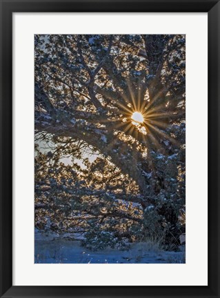 Framed New Years Steens Mountain Sunrise Print