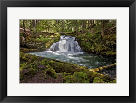 Framed Whitehorse Falls Print