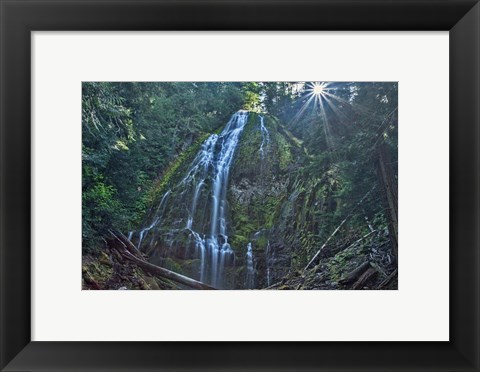 Framed Lower Proxy Falls Print