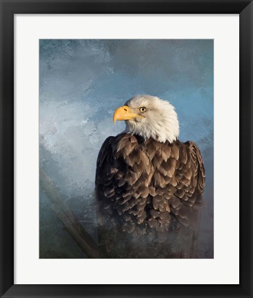 Framed Bald Eagle Print