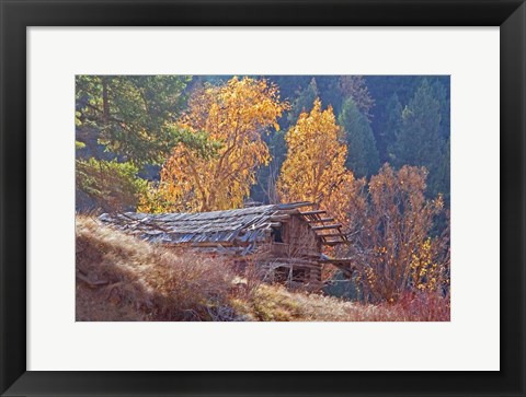 Framed North Fork Cabin Print