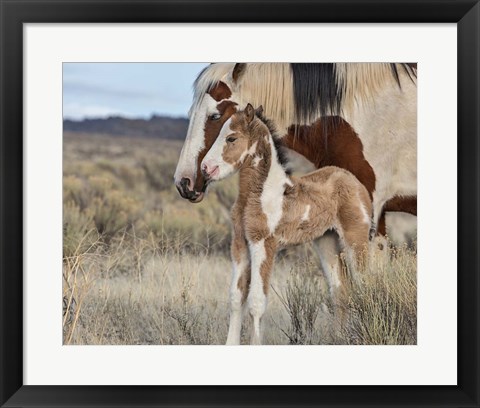 Framed Lady Braveheart &amp; Filly Print