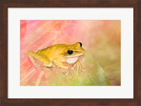 Framed Waiting for Lunch Print