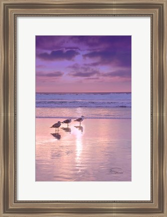 Framed Seagull Beach II Print