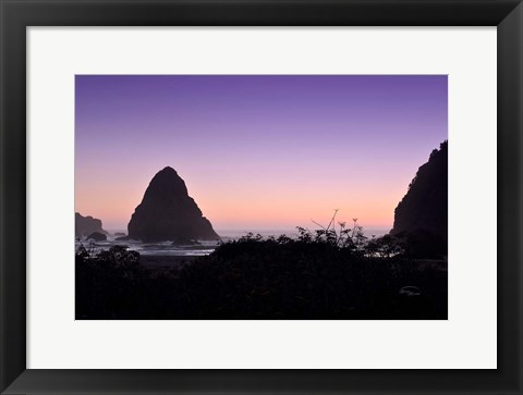 Framed Whaleshead Beach Print