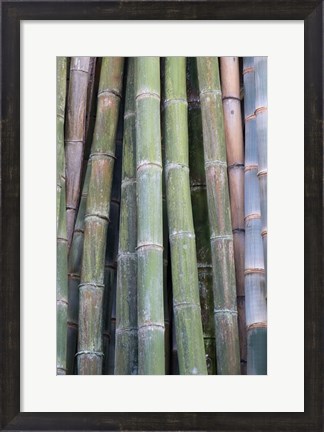 Framed Bamboo Fence Print