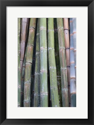 Framed Bamboo Fence Print