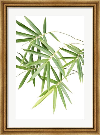 Framed Bamboo Bouquet Print