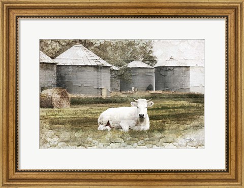 Framed White Cow Print