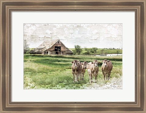 Framed Cows Print