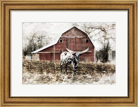 Framed Longhorn Print