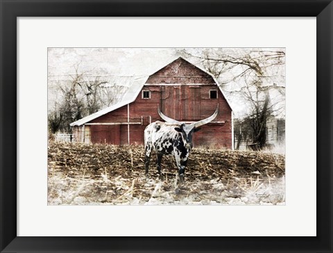 Framed Longhorn Print