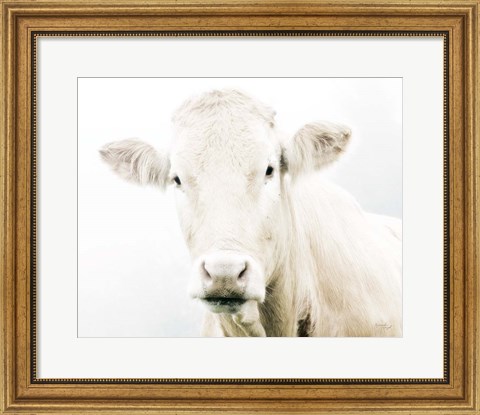 Framed Cow II Print