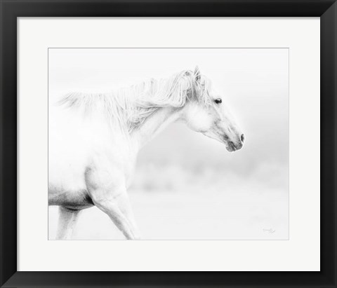 Framed Horse Print