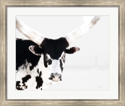 Framed Longhorn IV Print