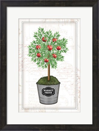 Framed Apple Topiary Print