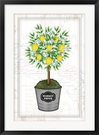 Framed Lemon Topiary Print