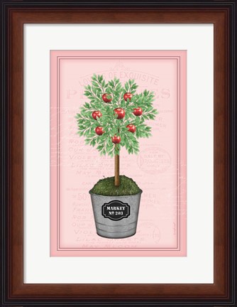 Framed Apple Topiary - Pink Print