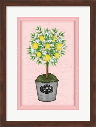 Framed Lemon Topiary - Pink Print