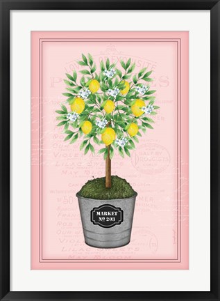 Framed Lemon Topiary - Pink Print