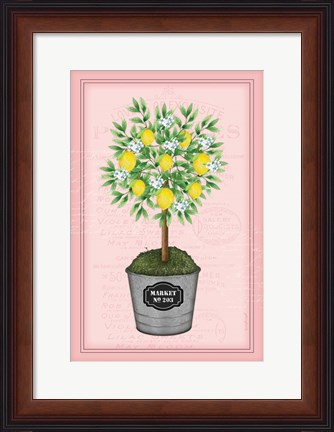 Framed Lemon Topiary - Pink Print