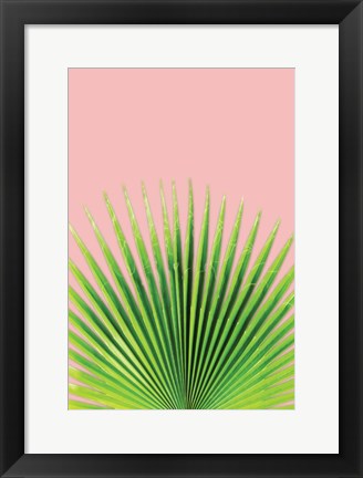 Framed Pink Palm I Print