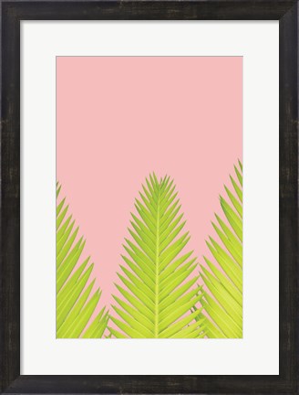 Framed Pink Palm IV Print