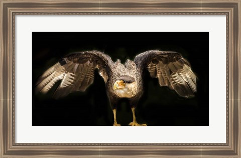 Framed Wings Print