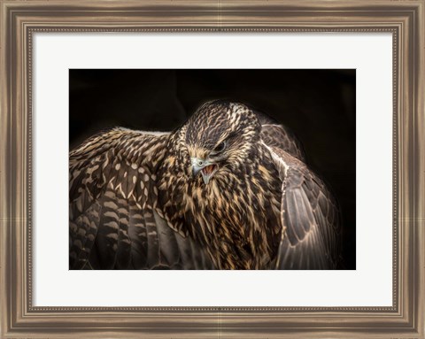 Framed Wings Print