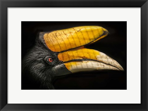 Framed Exotic Bord Print