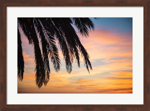 Framed Sunset Palms I Print