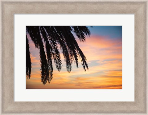 Framed Sunset Palms I Print